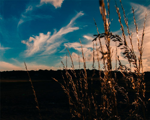 短信电话云轰炸