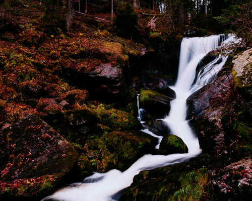 信息轰炸在线使用免费