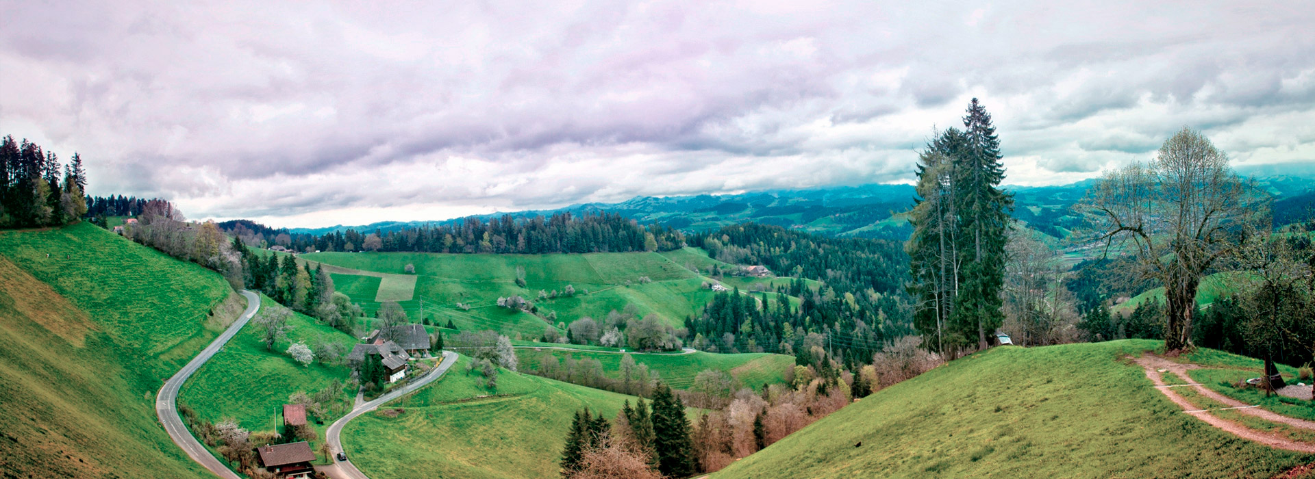 云呼电话轰炸机网页版