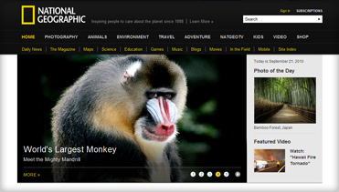 信息轰炸在线使用免费